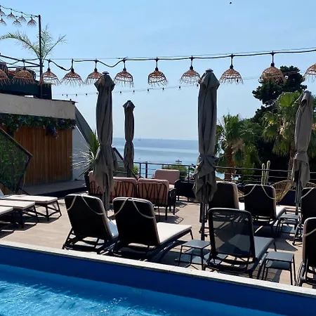 Les Alcyons Le Lavandou