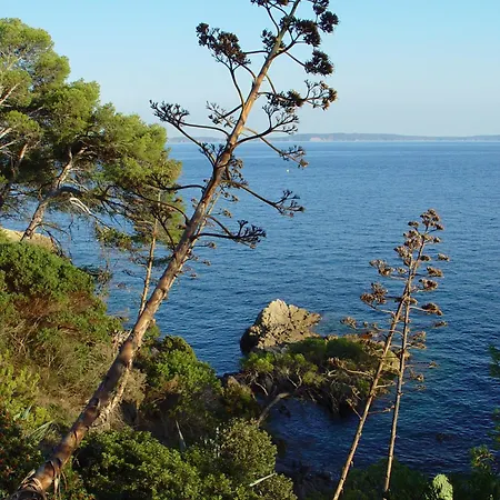 Hotel Les Alcyons 4*