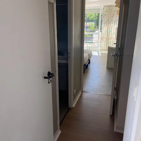 Hotel Les Alcyons 4*