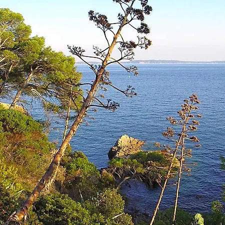 Les Alcyons Le Lavandou