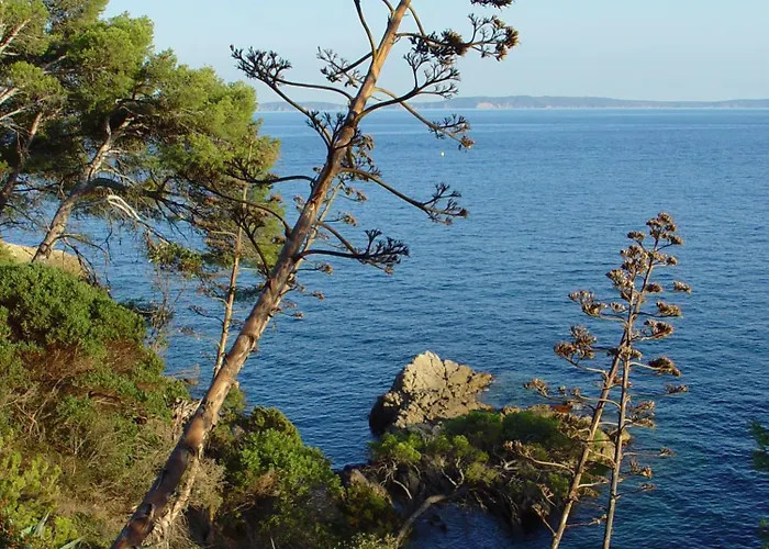 Ξενοδοχείο Les Alcyons 3*