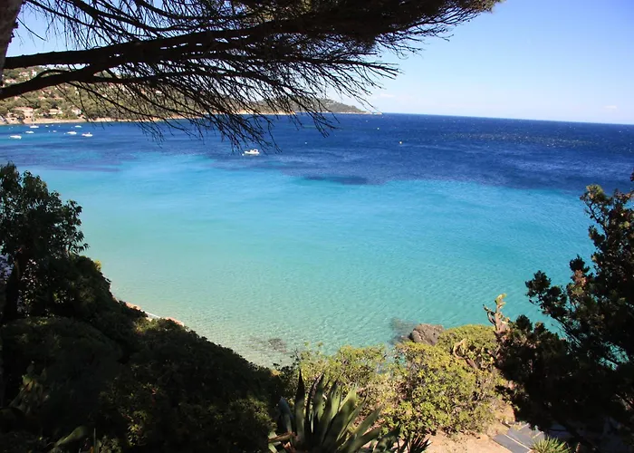 Les Alcyons Ξενοδοχείο Le Lavandou